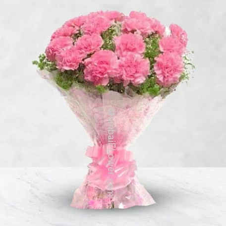 Stylish Pink Carnations