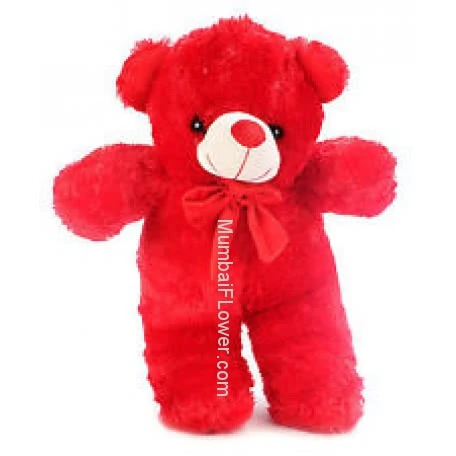 Red Teddy 12 Inch