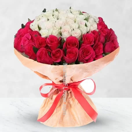 Beautiful White and Red Roses