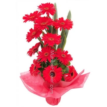 Present this Arrangement of 15 Red Gerberas to who is the special one in your life..