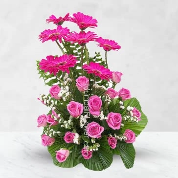 Arrangement of 20 pink Roses and 10 Pink Gerberas beautifully arranged with special leaves naturally.