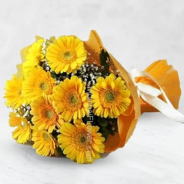 Bunch of 12 Yellow gerberas nicely decorated with fillers and ribbons
