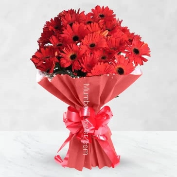 Bunch of 20 Red gerberas nicely decorated with ribbons