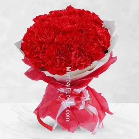 Celebration Red