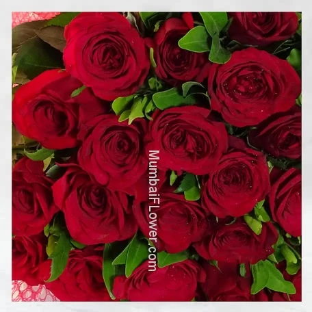 Gorgeous Beauty alternate image 1