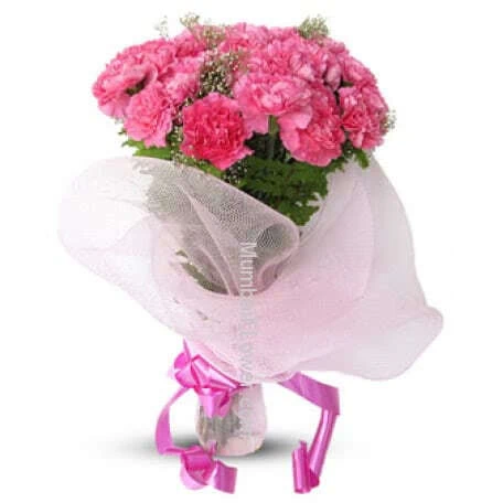 Stylish Pink Carnations