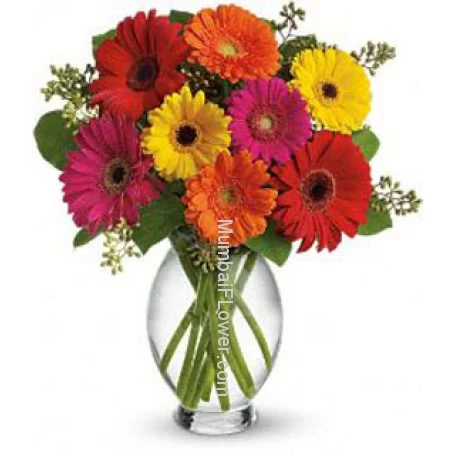 Assorted Gerberas