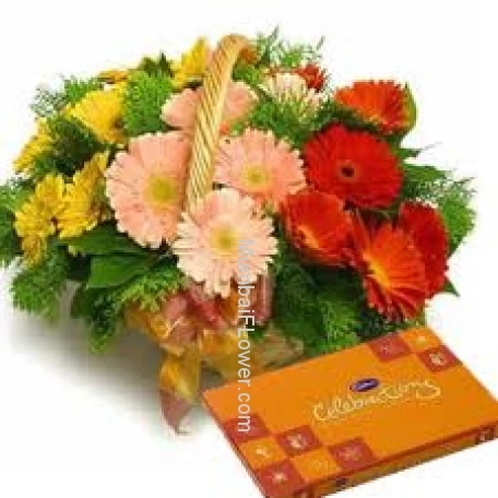 Diwali Special