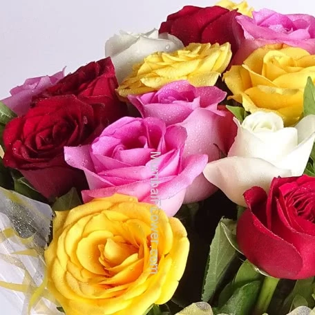 Vibrant Hues alternate image 1