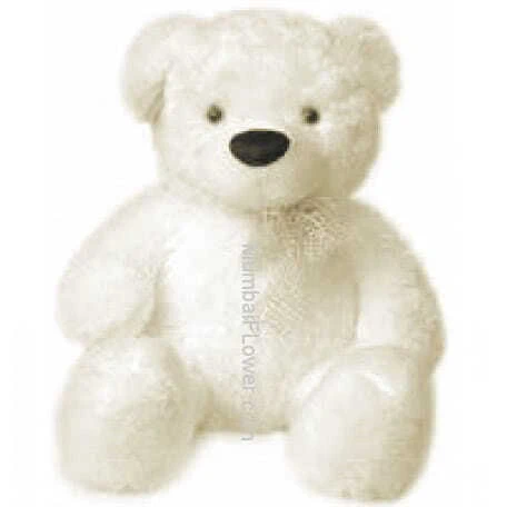 12 Inch Soft Teddy