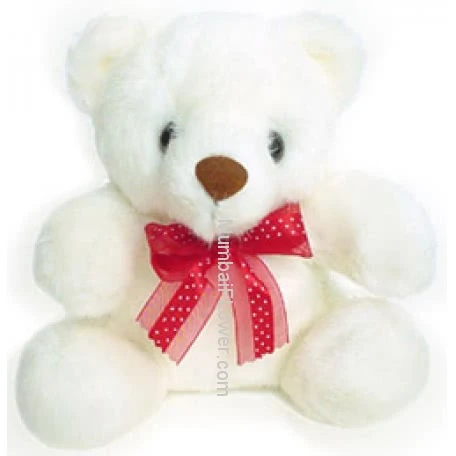 12 Inch Soft Teddy