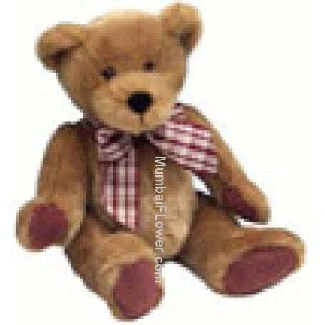 24 Inch Soft Teddy