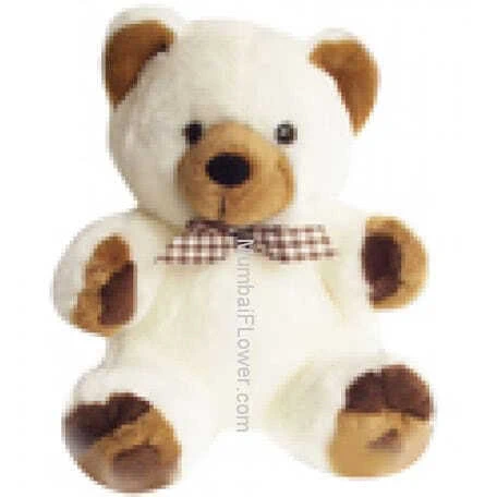 15 Inch Soft Teddy