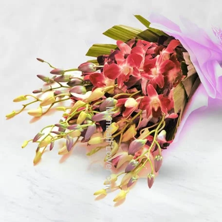 Bouquet of Purple Orchids