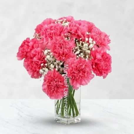 Pink Carnation in Vase
