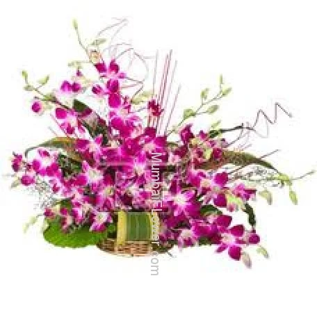 Arrangment of Orchids