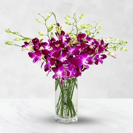 Purple Orchids in Vase