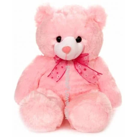 Pink Teddy 15