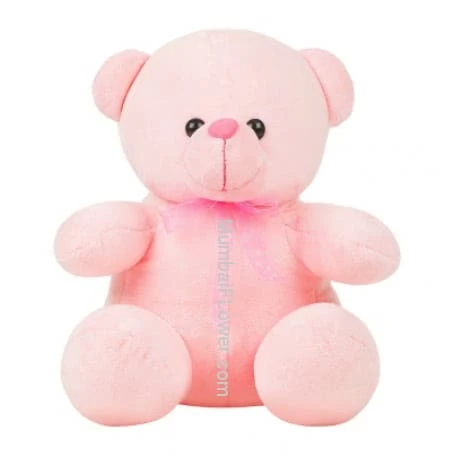 Pink Teddy 12