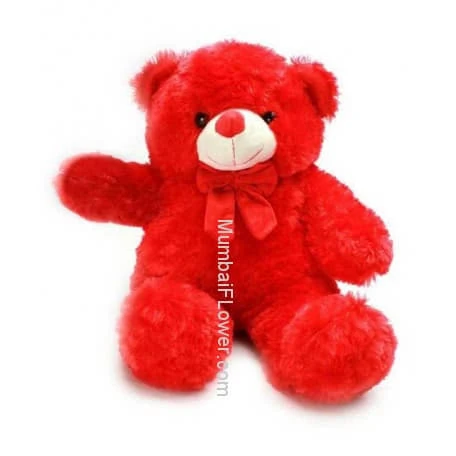 Teddy Red 15