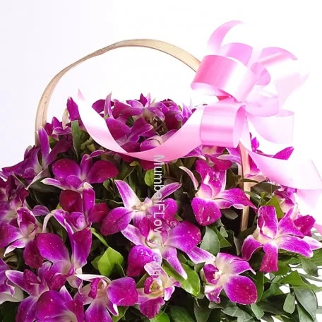 Basket of Orchids Flowers alternate image 2