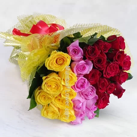 Tricolor Roses alternate image 1