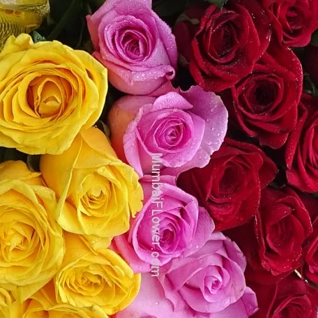 Tricolor Roses alternate image 2