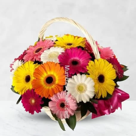 Basket of Gerberas