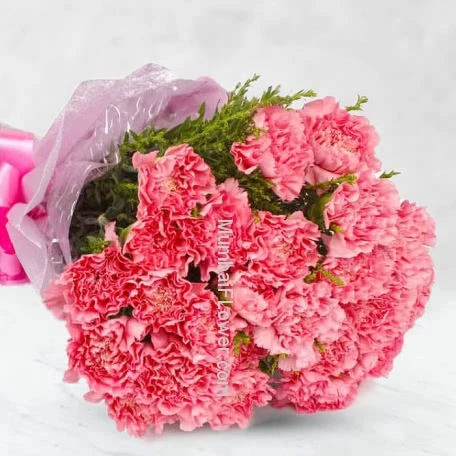 15 Pink Carnations