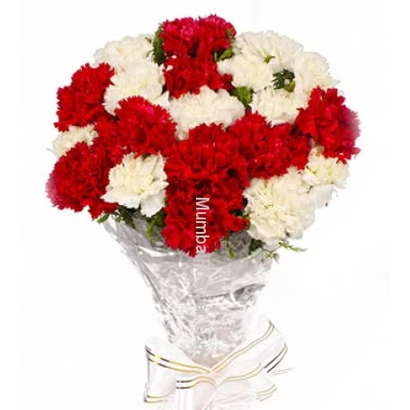 White n Red Carnations