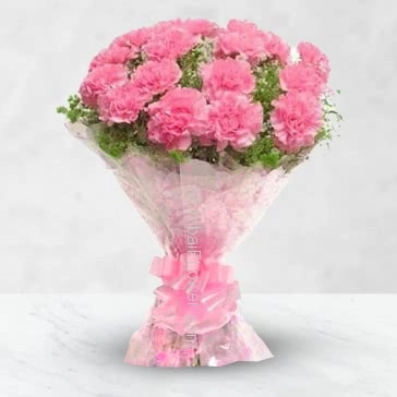 Carnations express love, fascination, and distinction, though there are many variations dependent on color. The pink carnation is also the symbol of a mothers undying love, so for that special lady in your life make her feel special with the  Bunch of 20 Beautiful Pink Carnations nicely decorated with Ribbons.