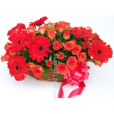 Red and Gerbera bunch of Fresh and Rich Flowers to be ordered online as gift or on special occasion to be with Basket of 10 Orange or Red Gerberas and 24 Roses. 