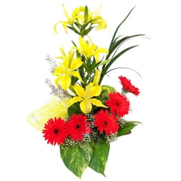 Combination of 4 pc Asiatic Yellow Lilies and 5 Orange Gerberas with nicely arranged for your special occasion. 