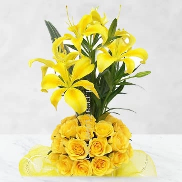 Impress the recipient Arrangement of 5 pc Asiatic Yellow Lilies and 30 Yellow Roses nicely decorated with Ribbons.