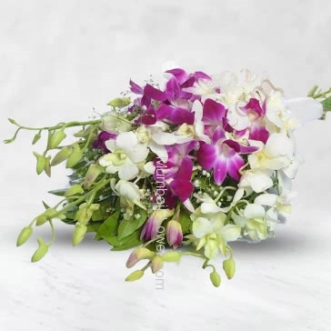 A most romantic and beautifully decorated specially for your loved one Bunch of 20 White and Purple Orchids Wrapped with net and a Ribbon bow.