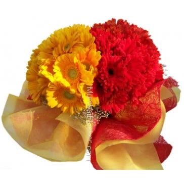 The great combination of yellow and  red gerberas in a Bunch of 30 stems of Gerberas beautifully decorated with frills.