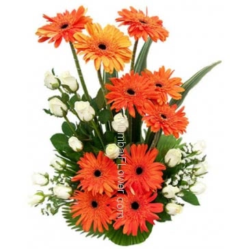 Smart arrangement of 10 Orange Gerberas and 20 White Roses by florist to make any occasion perfect.