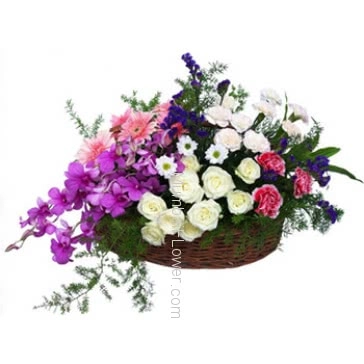 Basket arrangement of 10 white roses and 20 pink and white carnation and 10 pink gerberase and 5 pc purple orchids with fillers and ribbons.for your suitable occasion. 