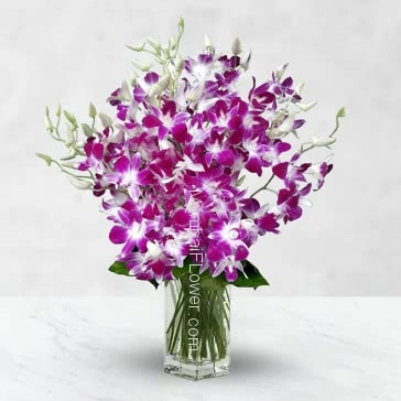 Purple orchids are beautiful in arrangements. Whether a deep purple or lavender shades, purple orchid arrangements are sure noticeable. Glass Vase With 15 Purple Orchids 