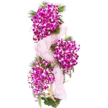 The delicate, exotic and graceful orchid represents love, luxury, beauty beautifully tall Arrangement with 75 Purple Orchids are the best way to show your special one that how special they are! . Please note: Photo is idea only , actual shipment may vary