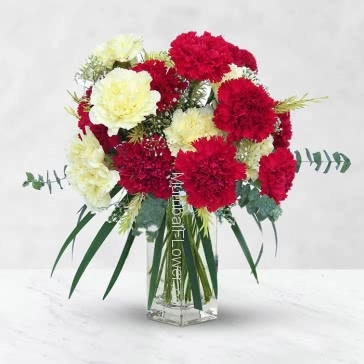 Glass Vase with 20 Red and Yellow Carnations expresses your friendliness and love with care.  