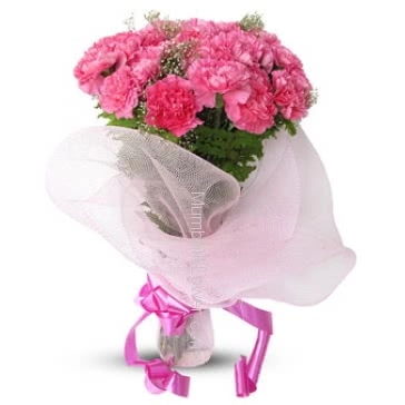 Bunch of 20 Cute Pink Carnations to a beautiful lady.