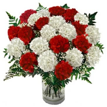Hi Quality 30 Red and White Carnations in a Vase beautifully arranged.
