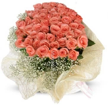 A cute Bunch of 50 Beautiful Orange Roses.