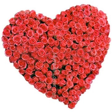 150 Valentines Day Red Roses in a Heart Shape for Valentines Day your heart to your love..