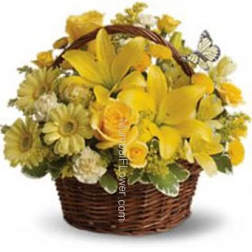 Beautiful Mixed Yellow Flowers in a Simple Basket beautifully arranged. 10 Yellow Roses, 10 Yellow Carnation, 10 yellow Gerberas and 2 PC lilies