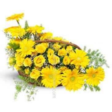 It is spring again. The earth is like a child that knows poems by heart. This beautiful session give flowers with sweet Arrangement of 10 Yellow Gerberas and 20 Yellow Roses  