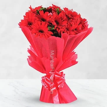 Bunch of 20 Red Gerberas for your love make moments romantic!