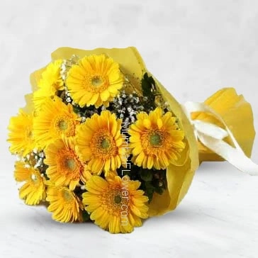 To spread the Happiness and energy to your friend Bunch of 15 Yellow Gerberas