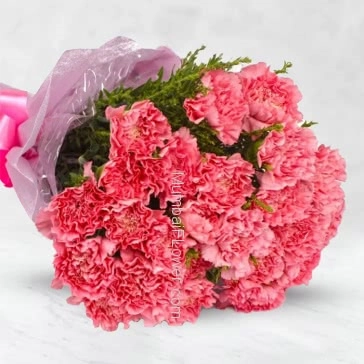 Bunch of 20 Pink Carnations signifies divinity. The literal meaning of carnation flower is the flower of love helps to lift the mood. 